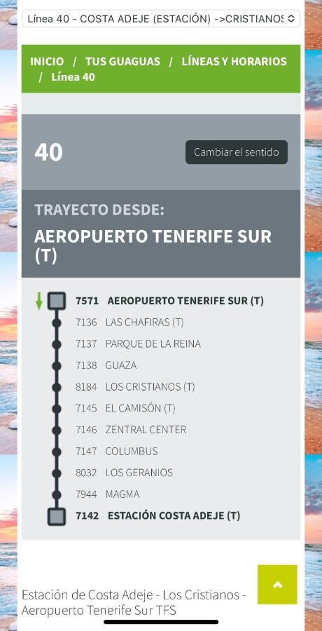 Loft Playa Torviscas,Garaje Gratis , Recien Reformado Costa Adeje (Tenerife) Eksteriør billede